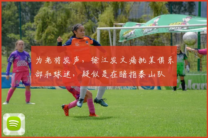 为老将发声，徐江发文痛批某俱乐部和球迷，疑似是在暗指泰山队
