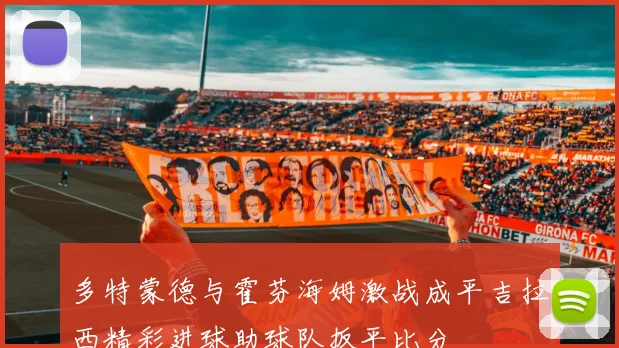 多特蒙德与霍芬海姆激战成平吉拉西精彩进球助球队扳平比分