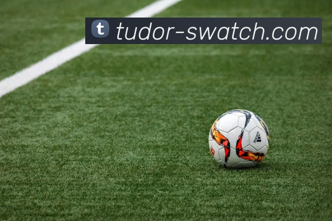 星空app官方登录入口平台生态图